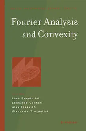 Brandolini / Colzani / Iosevich | Fourier Analysis and Convexity | E-Book | sack.de