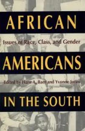 Baer / Jones |  African Americans in the South | Buch |  Sack Fachmedien