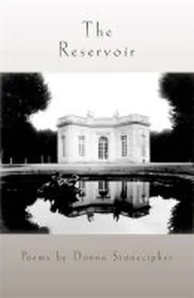 Stonecipher |  The Reservoir | Buch |  Sack Fachmedien