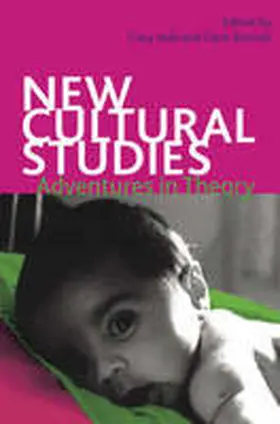 Hall / Birchall |  New Cultural Studies: Adventures in Theory | Buch |  Sack Fachmedien