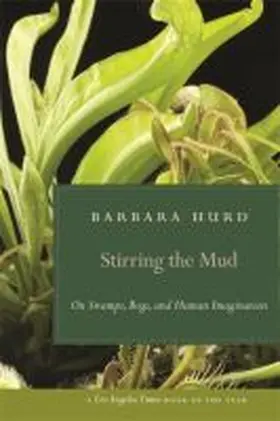 Hurd |  Stirring the Mud | Buch |  Sack Fachmedien