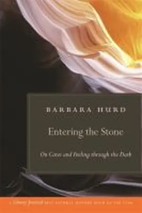 Hurd |  Entering the Stone | Buch |  Sack Fachmedien