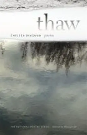 Dingman |  Thaw | Buch |  Sack Fachmedien