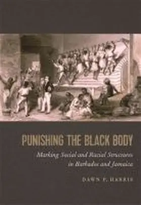 Harris |  Punishing the Black Body | Buch |  Sack Fachmedien
