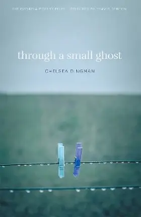 Dingman |  Through a Small Ghost | eBook | Sack Fachmedien