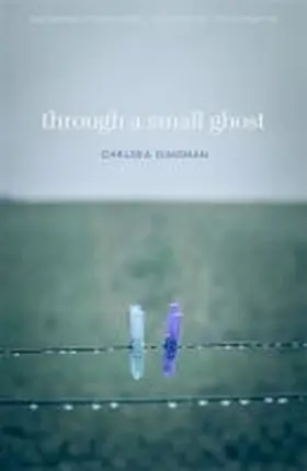 Dingman |  Through a Small Ghost | Buch |  Sack Fachmedien