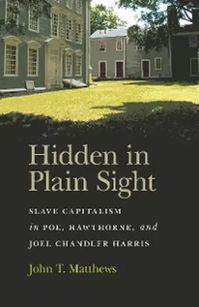 Matthews |  Hidden in Plain Sight | eBook | Sack Fachmedien