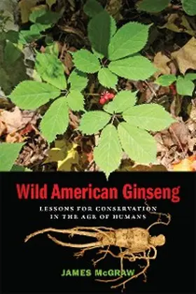 McGraw |  Wild American Ginseng | eBook | Sack Fachmedien