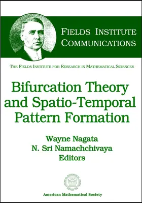Nagata / Namachchivaya |  Bifurcation Theory and Spatio-temporal Pattern Formation | Buch |  Sack Fachmedien