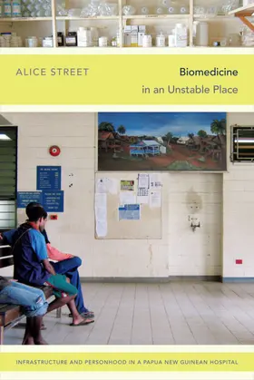 Street |  Biomedicine in an Unstable Place | eBook | Sack Fachmedien