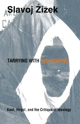Zizek / Fish / Jameson |  Tarrying with the Negative | eBook | Sack Fachmedien
