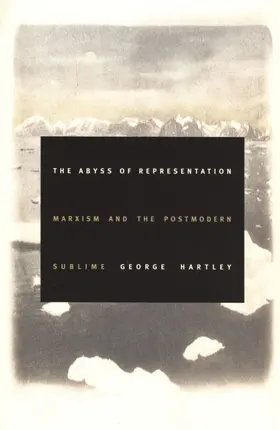 Hartley / Fish / Jameson |  The Abyss of Representation | eBook | Sack Fachmedien