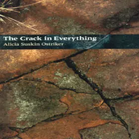 Ostriker |  The Crack In Everything | Buch |  Sack Fachmedien