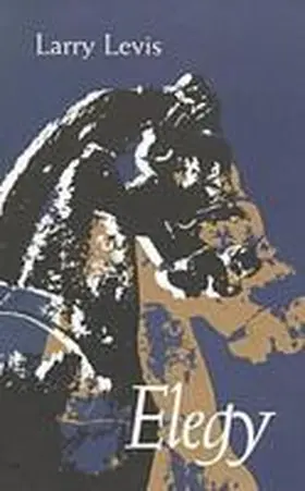 Levis |  Elegy | Buch |  Sack Fachmedien
