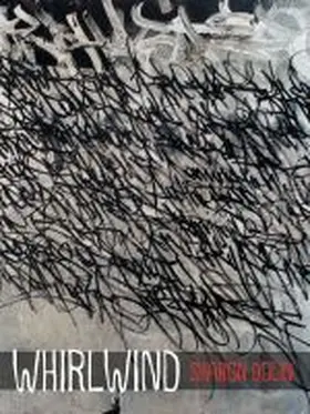 Dolin |  Whirlwind | Buch |  Sack Fachmedien