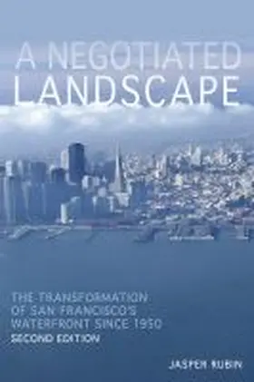 Rubin |  A Negotiated Landscape | Buch |  Sack Fachmedien