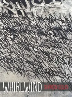 Dolin |  Whirlwind | eBook | Sack Fachmedien