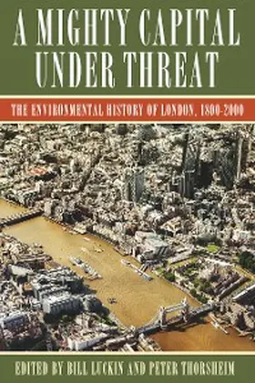 Luckin / Thorsheim |  A Mighty Capital under Threat | eBook | Sack Fachmedien