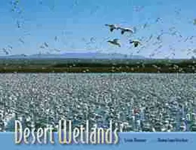 Fleischner |  Desert Wetlands | Buch |  Sack Fachmedien