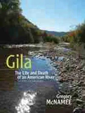 McNamee |  Gila | Buch |  Sack Fachmedien