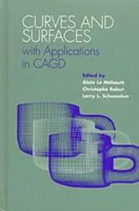 Le Mehaute / Rabut / Schumaker |  Curves and Surfaces with Applications in Cagd: Latino Caribbean Literature Written in the United States | Buch |  Sack Fachmedien