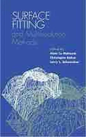 Le Mehaute / Rabut / Schumaker |  The Surface Fitting and Multiresolution Methods: Reproduction, Effeminacy, and Pregnant Men in Early Modern Spain | Buch |  Sack Fachmedien