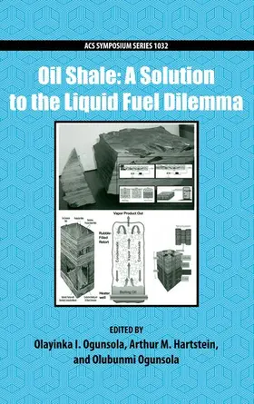 Ogunsola / Hartstein |  Oil Shale: A Solution to the Liquid Fuel Dilemma | Buch |  Sack Fachmedien