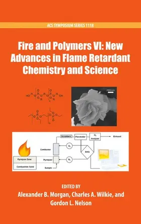 Wilkie / Morgan / Nelson |  Fire and Polymers VI: New Advances in Flame Retardant Chemistry and Science | Buch |  Sack Fachmedien