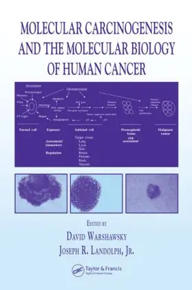 Warshawsky / Landolph Jr. | Molecular Carcinogenesis and the Molecular Biology of Human Cancer | Buch | 978-0-8493-1167-3 | sack.de