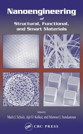 Schulz / Kelkar / Sundaresan |  Nanoengineering of Structural, Functional and Smart Materials | Buch |  Sack Fachmedien