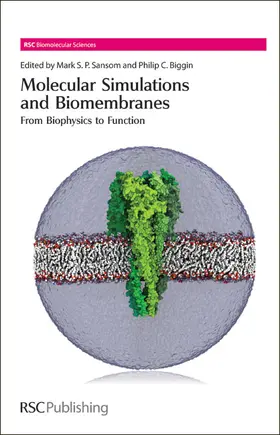 Sansom / Biggin | Molecular Simulations and Biomembranes | Buch | 978-0-85404-189-3 | sack.de