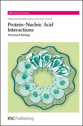 Rice / Correll | Protein-Nucleic Acid Interactions | Buch | 978-0-85404-272-2 | sack.de