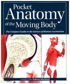 Brewer |  Pocket Anatomy of the Moving Body | Buch |  Sack Fachmedien
