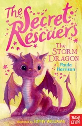 Harrison |  The Secret Rescuers: The Storm Dragon | eBook | Sack Fachmedien
