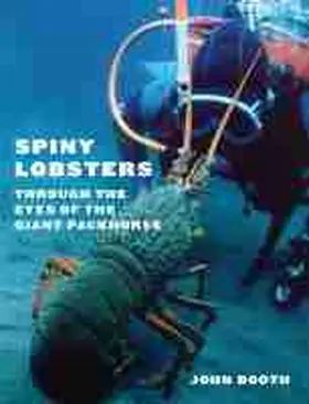 Booth |  Spiny Lobsters | Buch |  Sack Fachmedien