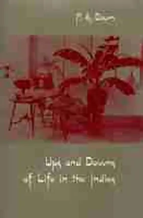 Daum |  Ups and Downs of Life in the Indies | Buch |  Sack Fachmedien