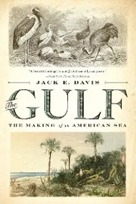 Davis |  The Gulf | eBook | Sack Fachmedien