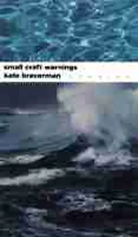 Braverman |  Small Craft Warnings: Stories | Buch |  Sack Fachmedien