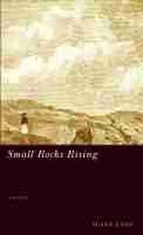 Lang |  Small Rocks Rising | Buch |  Sack Fachmedien