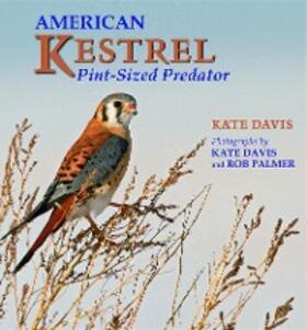 Davis |  American Kestrel | eBook | Sack Fachmedien