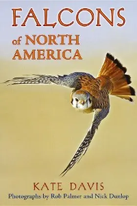 Davis |  Falcons of North America | eBook | Sack Fachmedien