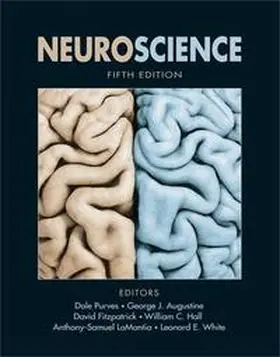 Purves / Augustine / Hall | Neuroscience | Buch | 978-0-87893-967-1 | www2.sack.de