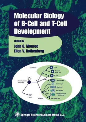 Rothenberg / Monroe |  Molecular Biology of B-Cell and T-Cell Development | Buch |  Sack Fachmedien