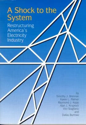 Brennan / Palmer / Kopp |  A Shock to the System | Buch |  Sack Fachmedien