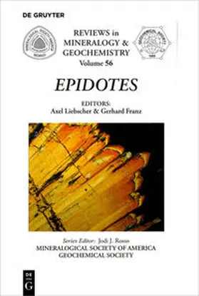 Franz / Liebscher |  Epidotes | Buch |  Sack Fachmedien