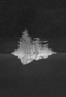 Chang |  Bottom of the Iceberg | eBook | Sack Fachmedien