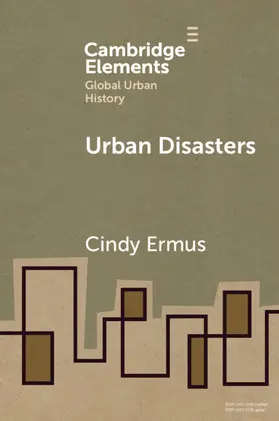 Ermus |  Urban Disasters | Buch |  Sack Fachmedien