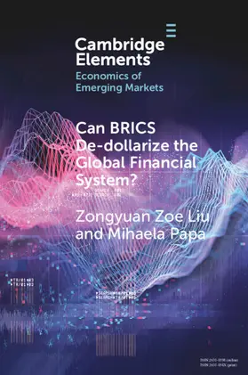 Liu / Papa |  Can BRICS De-dollarize the Global Financial System? | Buch |  Sack Fachmedien