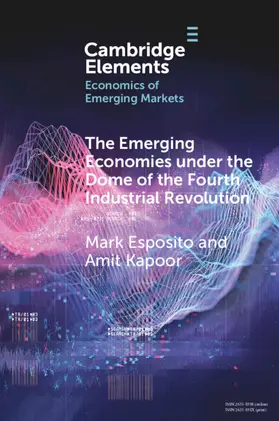 Esposito / Kapoor |  The Emerging Economies under the Dome of the Fourth Industrial Revolution | Buch |  Sack Fachmedien