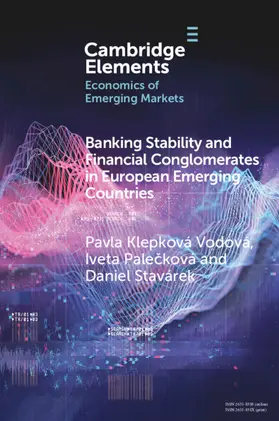 Vodová / Palecková / Stavárek |  Banking Stability and Financial Conglomerates in European Emerging Countries | Buch |  Sack Fachmedien